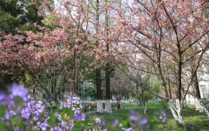 天津591分左右的考生可以报考哪些公办本科大学？（供2025届考生填报志愿参考）