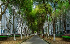 山东高考多少分能录取深圳北理莫斯科大学？附2022-2024年最低录取分数线