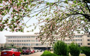 贵州高考多少分能考上黑河学院？附2022-2024年院校最低投档线