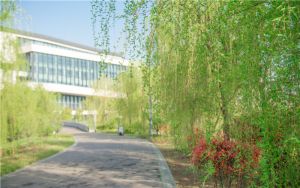 广西高考多少分报考哈尔滨工业大学（威海）？附2022-2024年最低录取分数线