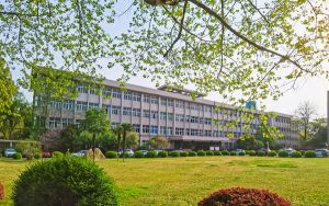 福建529分考生可以报考哪些公办本科大学？（附带2022-2024年529录取名单）