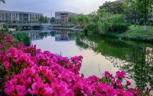 河北497分左右的考生可以报考哪些公办本科大学？（供2025年考生参考）