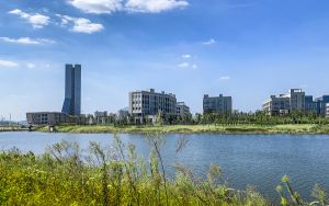 河北高考多少分能考上山东外贸职业学院？2024年历史类最低323分 物理类投档线385分