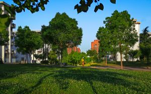 甘肃高考多少分能上上海第二工业大学？附2022-2024年最低录取分数线