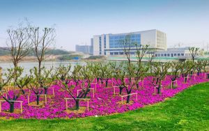 山东高考多少分能考上福建医科大学？附2022-2024年最低录取分数线