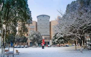 山东高考多少分报考天津医科大学临床医学院？2024年综合录取分500分