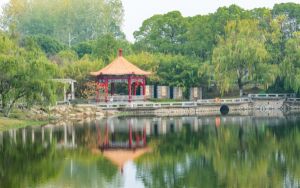 江苏584分左右的考生可以报考哪些大学？ 2025年高考可以填报34所大学