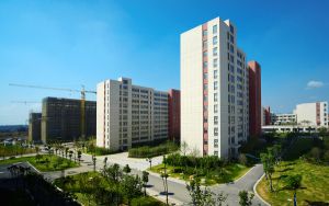 长春金融高等专科学校2024年录取最低分数线公布：黑龙江考生2025年参考