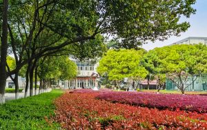 江苏高考多少分能考上吉首大学？2024年历史类最低531分 物理类投档线532分
