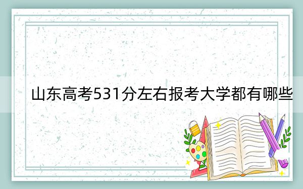山东高考531分左右报考大学都有哪些?