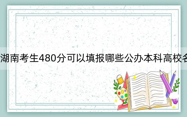 湖南考生480分可以填报哪些公办本科高校名单？（附带近三年高考大学录取名单）