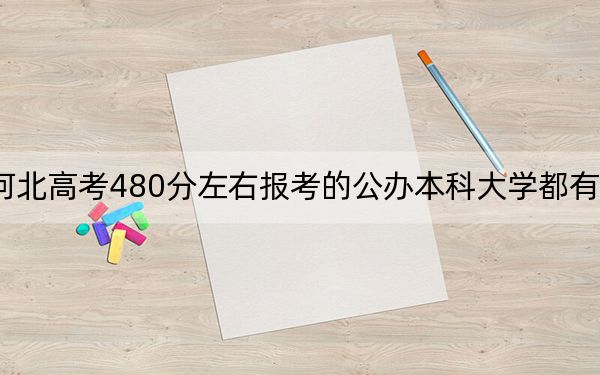 河北高考480分左右报考的公办本科大学都有哪些? 2024年高考有13所最低分在480左右的大学