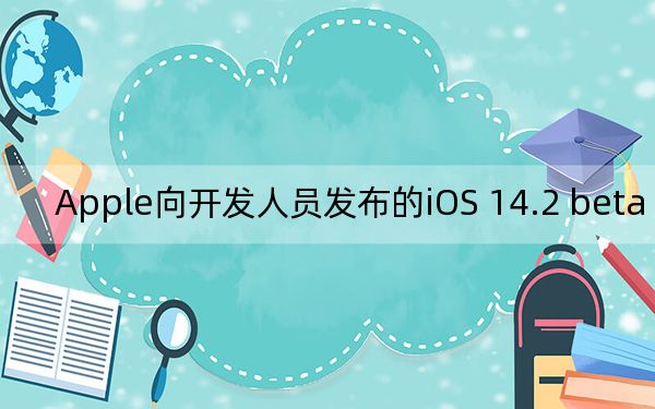 Apple向开发人员发布的iOS 14.2 beta 1更新