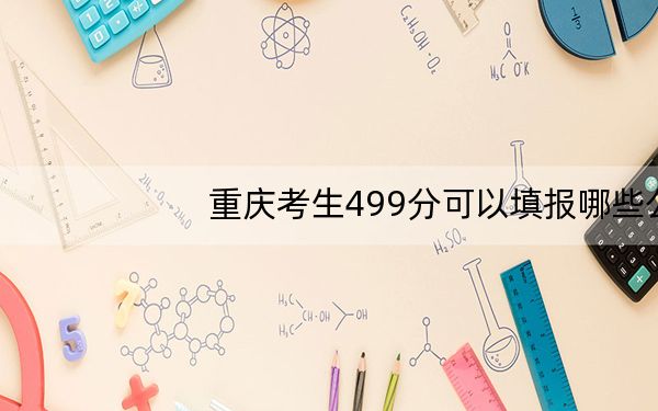 重庆考生499分可以填报哪些公办本科高校名单?