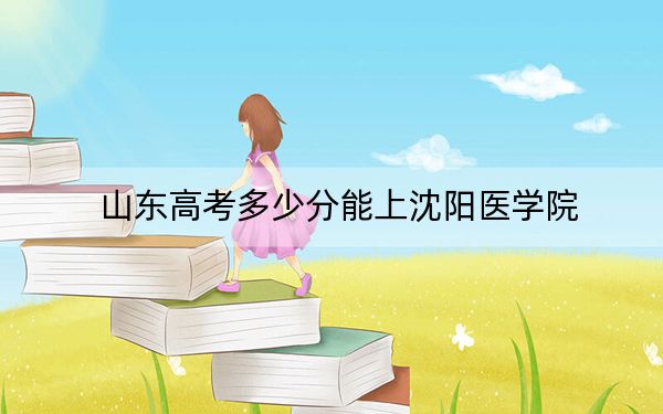 山东高考多少分能上沈阳医学院?附2022-2024年最低录取分数线