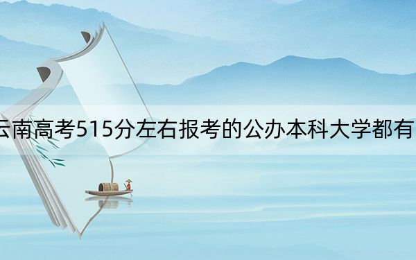 云南高考515分左右报考的公办本科大学都有哪些？