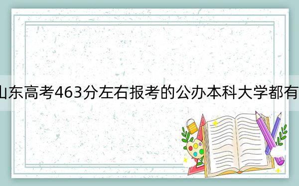 山东高考463分左右报考的公办本科大学都有哪些? 2024年高考有53所最低分在463左右的大学
