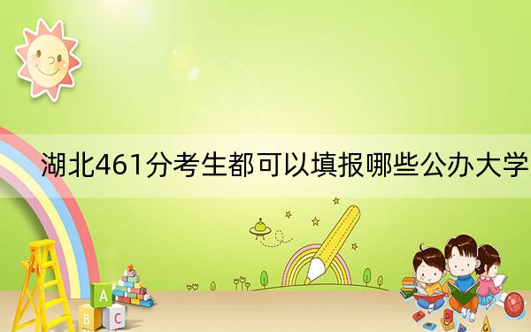 湖北461分考生都可以填报哪些公办大学? 2024年有29所录取最低分461的大学