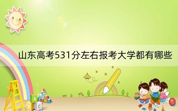 山东高考531分左右报考大学都有哪些? 2024年录取最低分531的大学