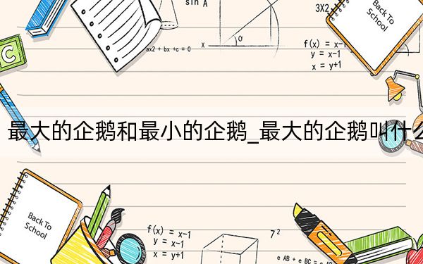 最大的企鹅和最小的企鹅_最大的企鹅叫什么