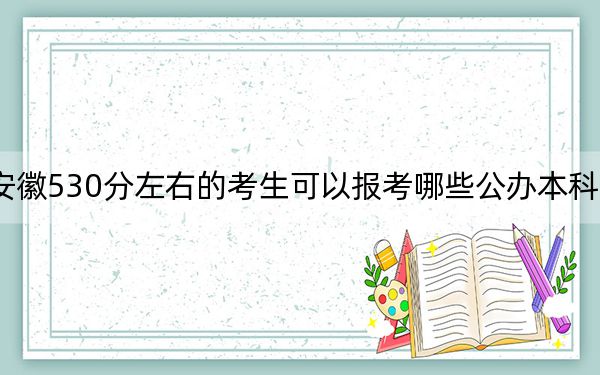 安徽530分左右的考生可以报考哪些公办本科大学?