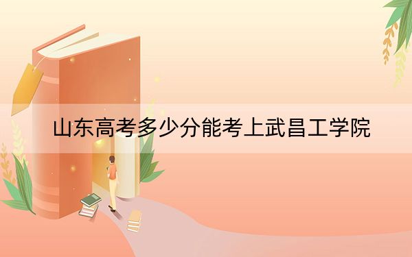 山东高考多少分能考上武昌工学院?附2022-2024年最低录取分数线
