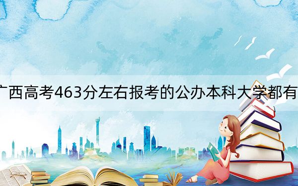 广西高考463分左右报考的公办本科大学都有哪些?(供2025年考生参考)