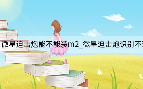 微星迫击炮能不能装m2_微星迫击炮识别不到m2