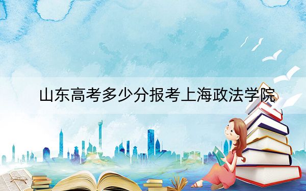 山东高考多少分报考上海政法学院?2024年综合最低分533分