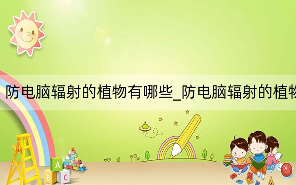 防电脑辐射的植物有哪些_防电脑辐射的植物