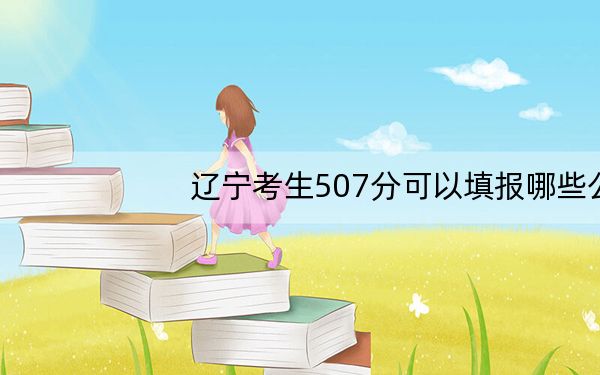辽宁考生507分可以填报哪些公办本科高校名单?(附带2022-2024年507录取名单)
