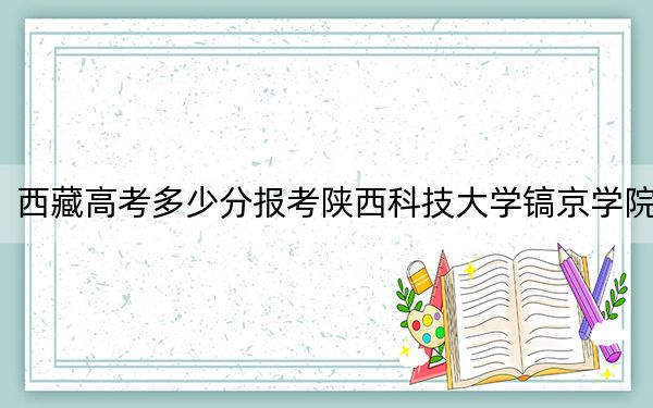 西藏高考多少分报考陕西科技大学镐京学院?2024年最低分