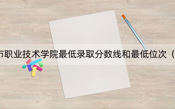 2024年宁波城市职业技术学院最低录取分数线和最低位次(全国各省录取汇总)