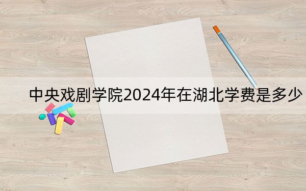 中央戏剧学院2024年在湖北学费是多少?湖北考生2025年参考