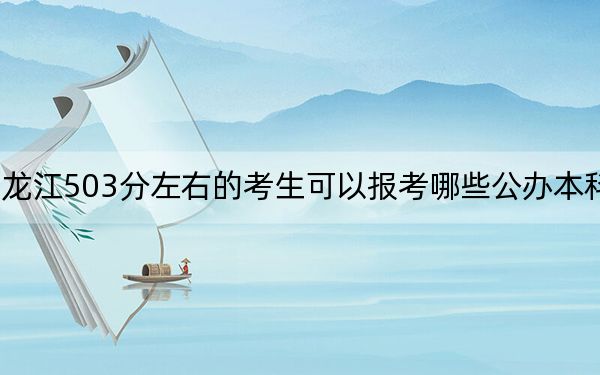 黑龙江503分左右的考生可以报考哪些公办本科大学？ 2024年有54所录取最低分503的大学
