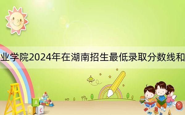 武汉城市职业学院2024年在湖南招生最低录取分数线和招生计划公布!