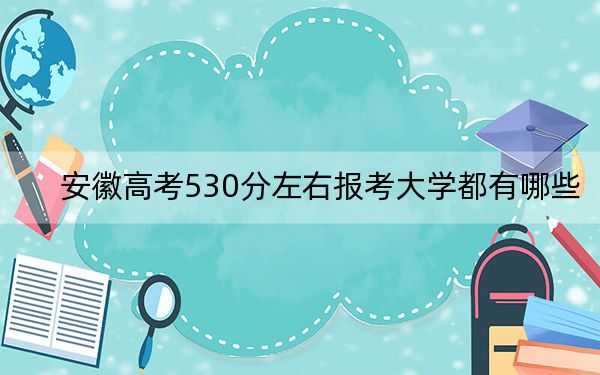 安徽高考530分左右报考大学都有哪些? 2024年录取最低分530的大学