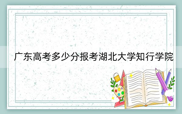 广东高考多少分报考湖北大学知行学院?2024年历史类486分 物理类投档线490分