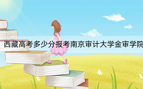 西藏高考多少分报考南京审计大学金审学院?附2022-2024年最低录取分数线