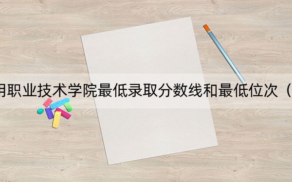 2024年合肥通用职业技术学院最低录取分数线和最低位次（全国各省录取汇总）