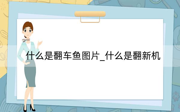什么是翻车鱼图片_什么是翻新机