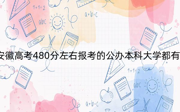 安徽高考480分左右报考的公办本科大学都有哪些? 2024年高考有16所最低分在480左右的大学