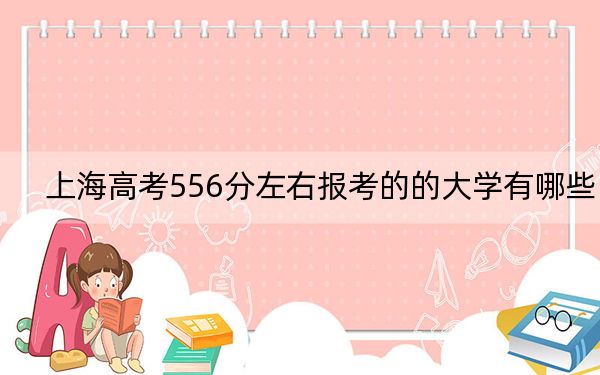 上海高考556分左右报考的的大学有哪些? 2024年高考有13所556录取的大学