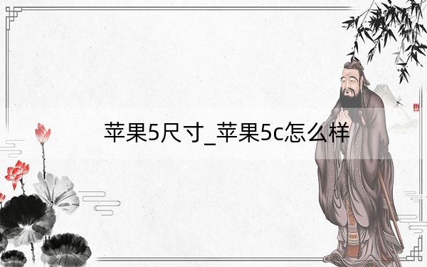 苹果5尺寸_苹果5c怎么样
