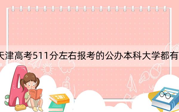 天津高考511分左右报考的公办本科大学都有哪些? 2024年一共45所大学录取
