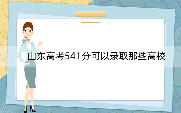 山东高考541分可以录取那些高校?