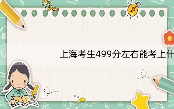 上海考生499分左右能考上什么好的大学? 2024年一共11所大学录取