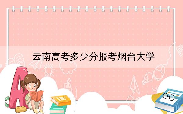 云南高考多少分报考烟台大学?附2022-2024年院校最低投档线