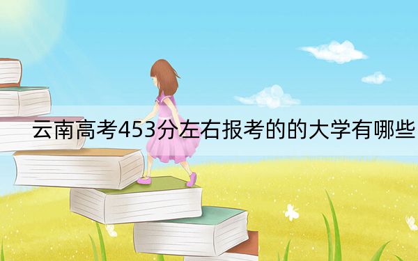 云南高考453分左右报考的的大学有哪些？ 2025年高考可以填报38所大学