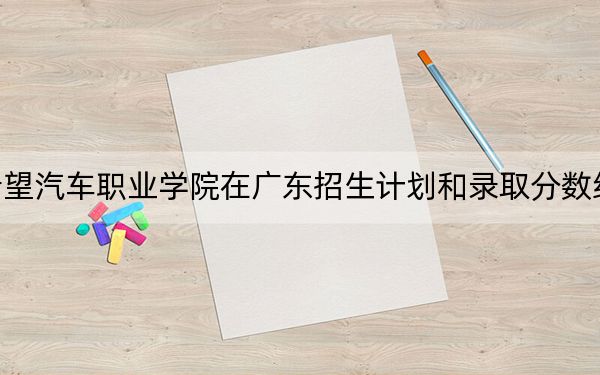 四川希望汽车职业学院在广东招生计划和录取分数线是多少?2025广东考生参考